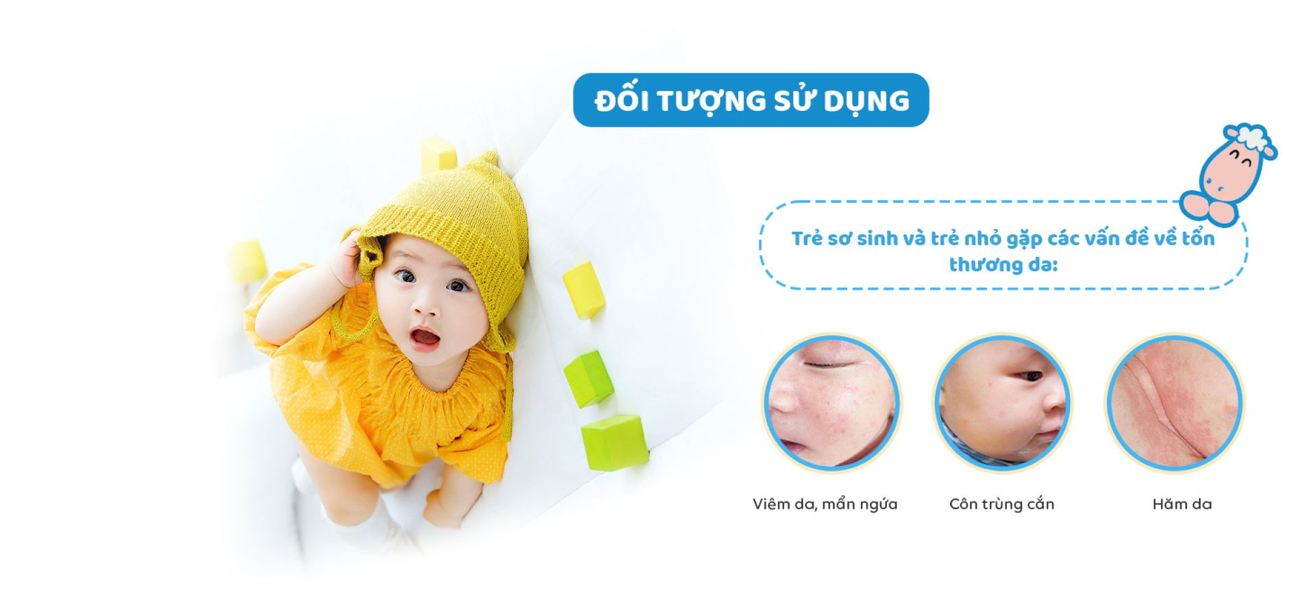 nghiên cứu khoa học tinh dầu bạch đàn chanh Kutieskin